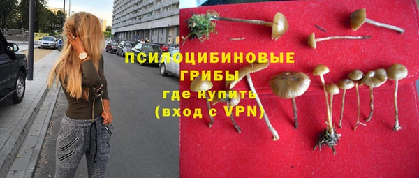 дурь Алексин