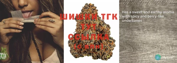 винт Мегион