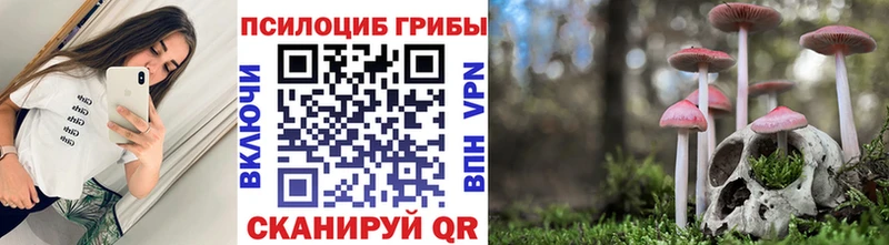 Псилоцибиновые грибы MAGIC MUSHROOMS  магазин продажи   Аркадак 